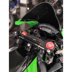 Kawasaki Ninja ZX-10R 2016 - Usada