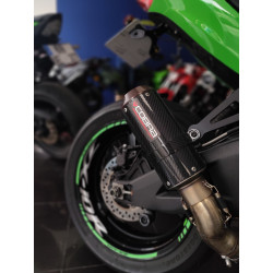 Kawasaki Ninja ZX-10R 2016 - Usada