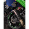Kawasaki Ninja ZX-10R 2016 - Usada